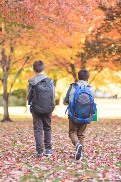 istock Two elementary-age boys walk to school through the park 1016345804