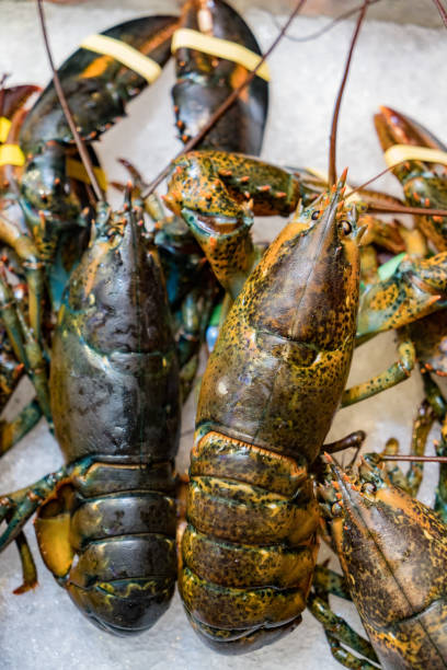 istock Lobsters for sale on ice 1016358436