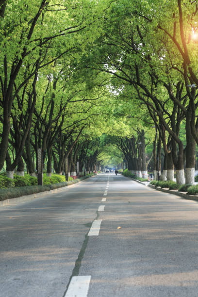 istock Crooked road to distant suburbs in China 1016377212