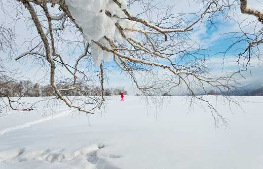 Winter landscape with tree branches and hiker.