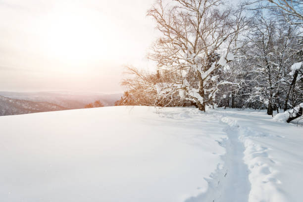 istock Footpath in the snow mountain 1016395204