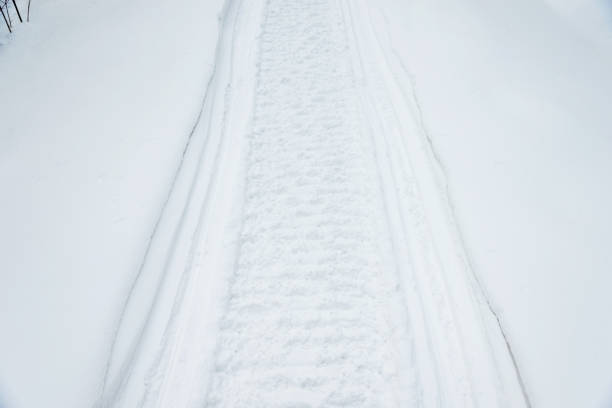 Tire tracks on the fresh snow.