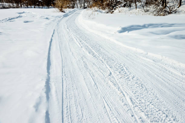 istock Tire tracks on the road through forest 1016396098