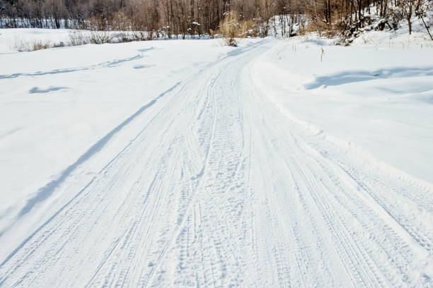istock Tire tracks on the road through forest 1016397878