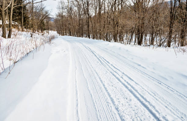 istock Tire tracks on the road through forest 1016397886