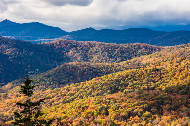 istock The Great Smoky Mountains 1016400840