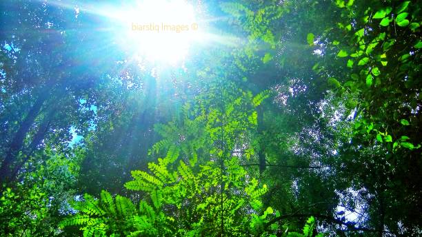 istock The light of God enlightens everything 1016411062