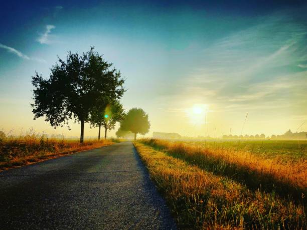 istock Country road sunrise 1016413978