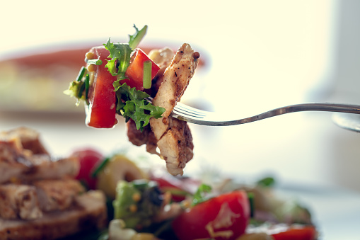 Grilled chicken salad and vegetables. Dietetic healthy food.