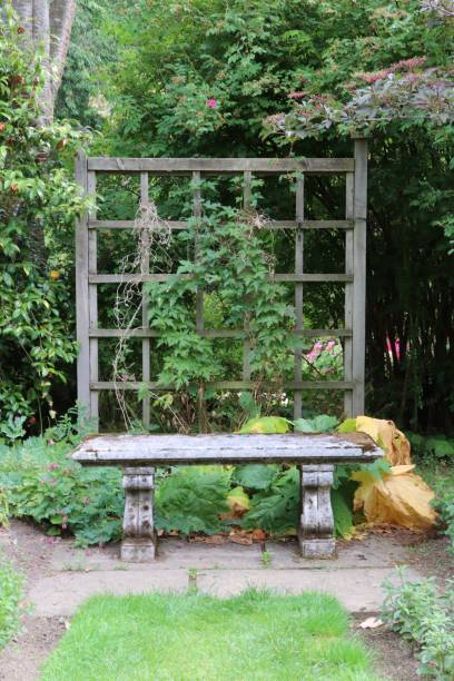 istock Ornamental old stone bench in formal garden 1016485476