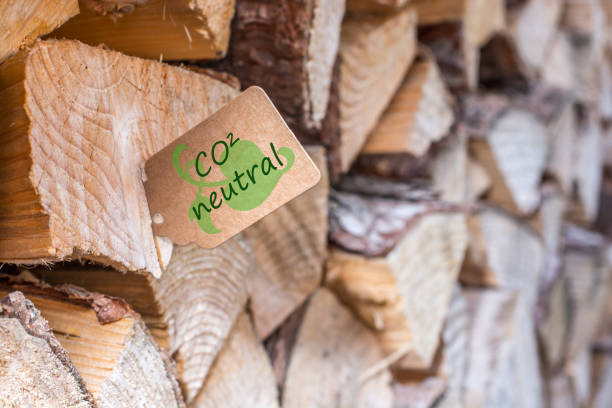 firewood