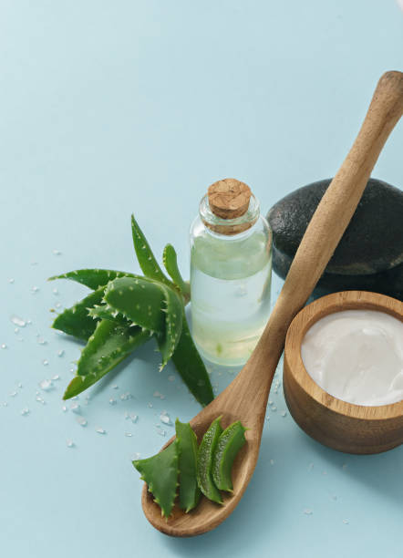 istock aloe vera and cosmetic ingredients on blue background 1016491522