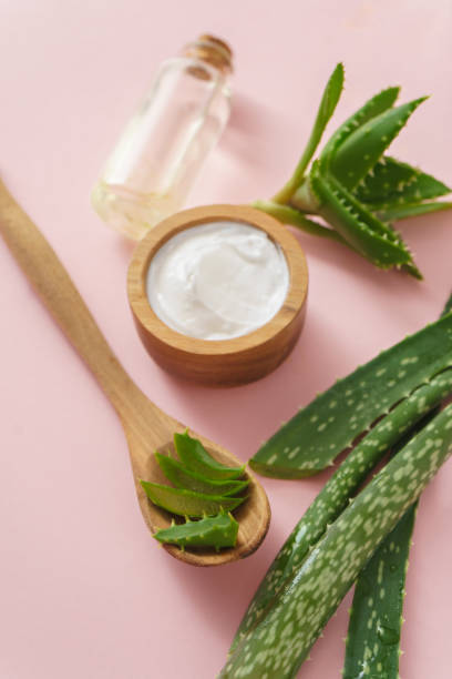 istock aloe vera and cosmetic ingredients on pink background 1016491892