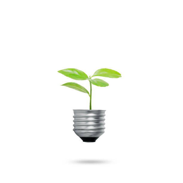 istock Green energy symbols ecology, light bulb 1016492108