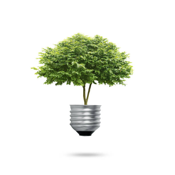 istock Green energy symbols ecology, light bulb 1016492118