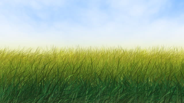 Wind in Grass
