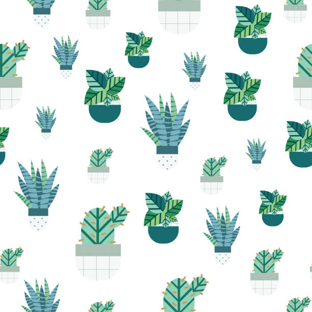 ilustrações, clipart, desenhos animados e ícones de padrão sem emenda de cactos e suculentas com engraçado. elementos editáveis, ícones para têxteis, web - abstract backgrounds botany cactus