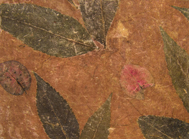 istock Aged handmade brown paper texture with leaves herbarium. Natural background 1016505292