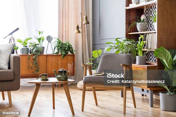 Real Photo Of An Armchair Standing Next To A Small Table And A Sofa In Spacious Living Room Interior With Cupboard And Shelves With Plants Behind Stock Photo - Download Image Now