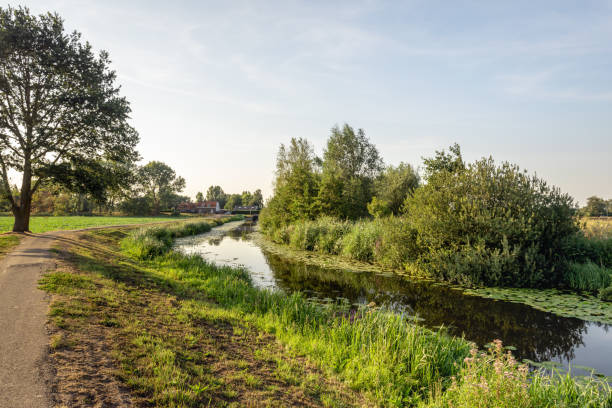 istock Rural landscape with a narrow stream on a sunny summer evening 1016513884
