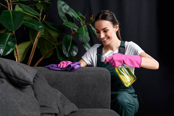 sonriente a mujer joven en el sofá con trapo y detergente spray de limpieza de guantes de goma - apartment cleaning fotografías e imágenes de stock