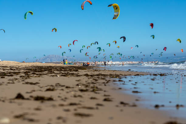 Kitesurfers in Tarifa. The beach at Tarifa, Cadiz province, Spain on a summers day in August with the kitesurfers out. tarifa stock pictures, royalty-free photos & images