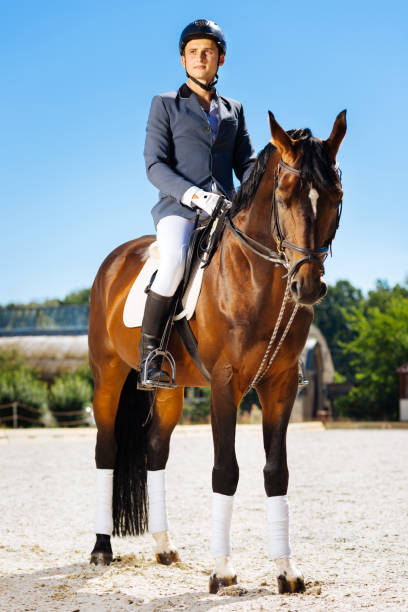 istock Young promising horseman preparing for a competition 1016530984