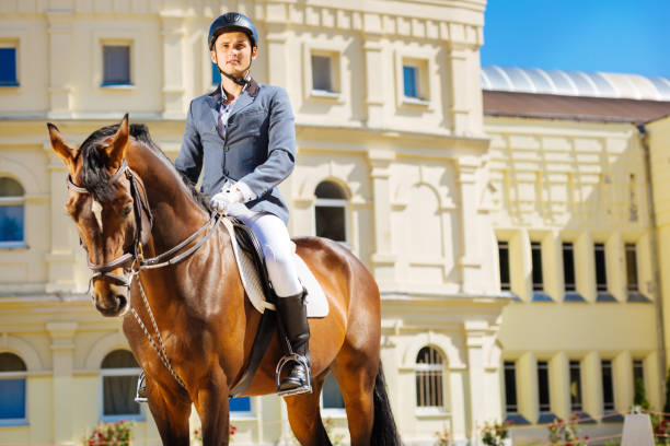 istock Handsome professional equestrian doing his favorite occupation 1016531664