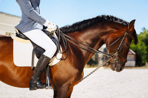 istock Gentle man wearing blue gloves and black riding boots 1016531768