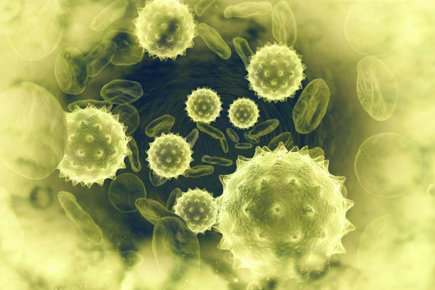 istock Virus infected blood cells 1016532262