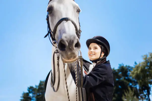 Loving equestrianism. Dark-haired prosperous businesswoman loving equestrianism coming to race track on weekend