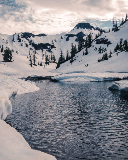 istock Stylized Snowy Mountain Apline Lake 1016541742