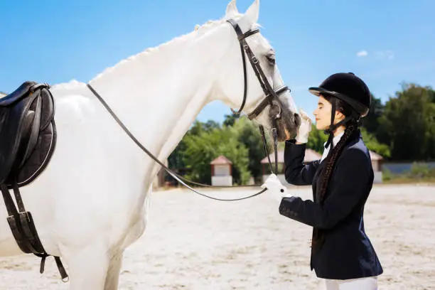 Looking at horse. Beautiful slim woman loving equestrianism greatly looking at white racing horse