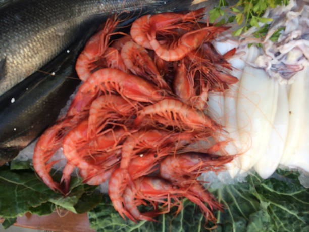 istock Frozen fresh raw shrimps squids on ice. 1016546942