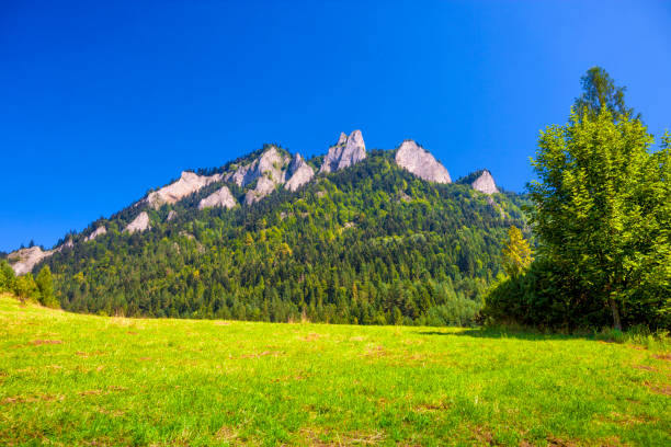 istock Three Crowns - Peak in the Pieniny Mountains in Poland. 1016556172