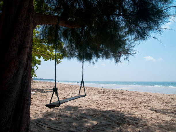 istock Swing in shady of pine 1016556334