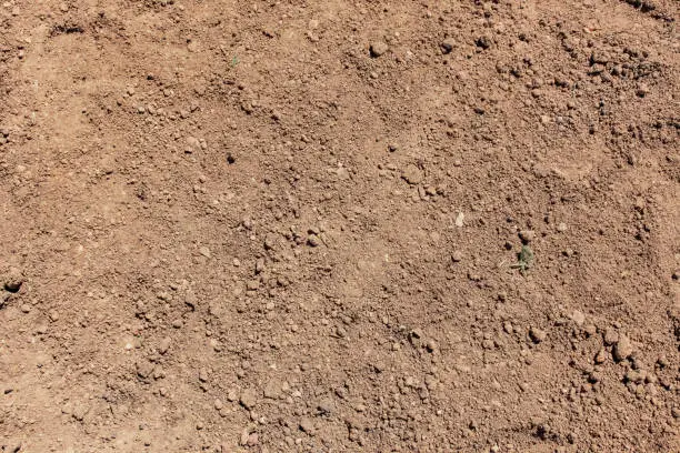 Photo of Soil background