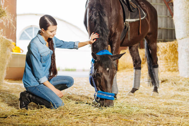 istock Dark-haired horsewoman with long braid visiting stable and horse 1016559644