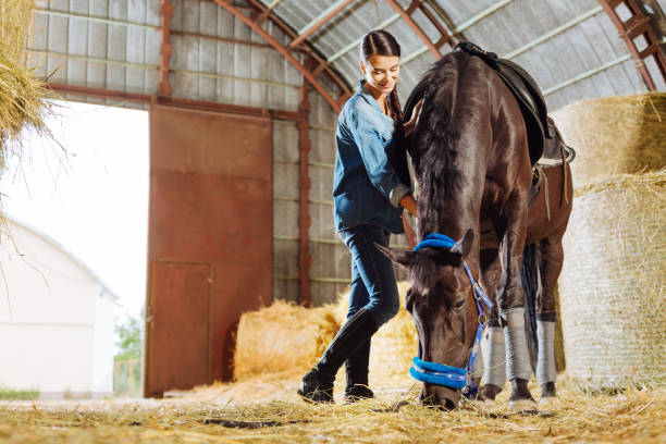 istock Professional female rider feeling good while visiting horse in stable 1016562002