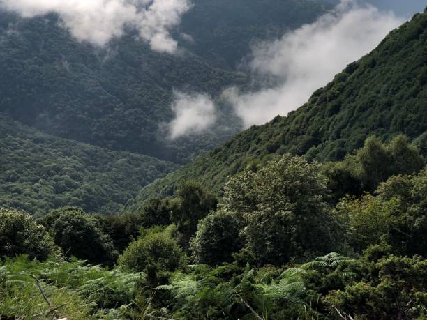 istock Top of mountain with cloud 1016577218