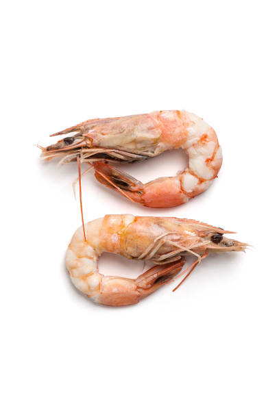 istock Two boiled shrimps close-up. Isolated on white background. 1016577332