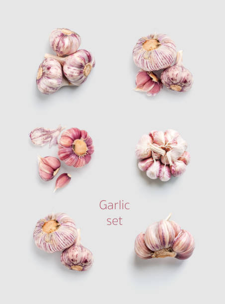 istock Garlic set on a light gray monophonic background. View from above. 1016577380