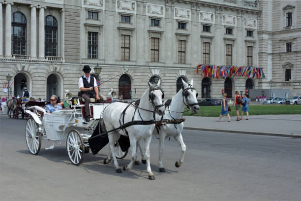 Vienna, Austria - May 06, 2009: Horse carriages are waiting for tourists at Schonbrunn palace, not so many tourists in a cold day, Vienna, Austria.