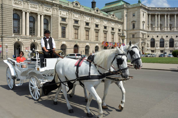 Shot of a traditional fiaker taken in Vienna in autumn.