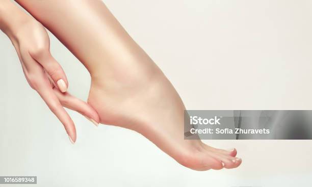 Elegant And Graceful Hands With Slender Graceful Fingers Is Touching S Touching Wellgroomed Heel Stock Photo - Download Image Now