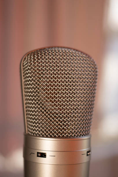 istock Sound recording studio large diaphragm voice microphone for voiceover, singing and instruments. 1016594928