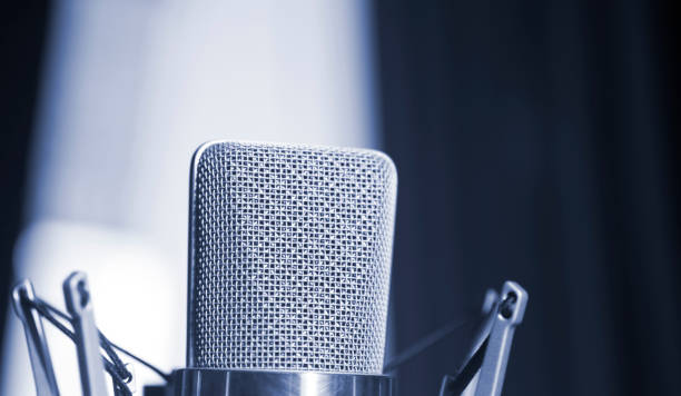istock Sound recording studio large diaphragm voice microphone for voiceover, singing and instruments. 1016595456