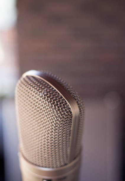 istock Sound recording studio large diaphragm voice microphone for voiceover, singing and instruments. 1016595508