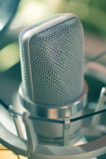 istock Sound recording studio large diaphragm voice microphone for voiceover, singing and instruments. 1016595900