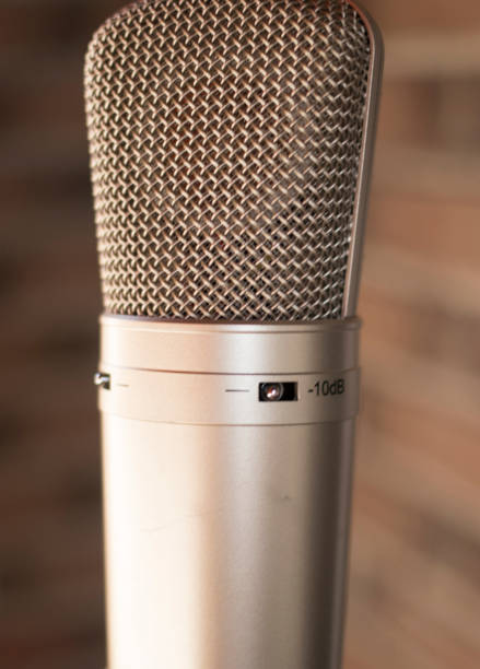 istock Sound recording studio large diaphragm voice microphone for voiceover, singing and instruments. 1016596040